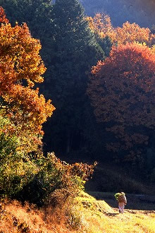 いしおからしい風景026 画像:いしおからしい風景026