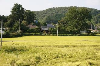 街並み・生活003 画像:街並み・生活003