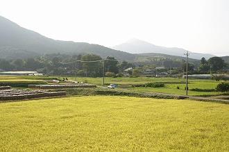 街並み・生活004 画像:街並み・生活004