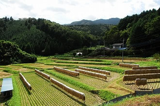 街並み・生活044 画像:街並み・生活044