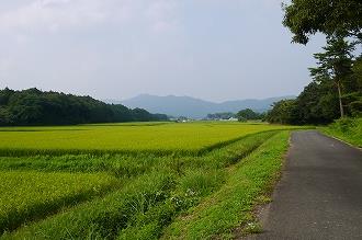 交通004 画像:交通004
