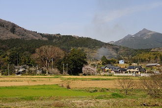 自然001 画像:自然001