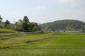 自然006 画像:自然006