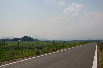 自然013 画像:自然013