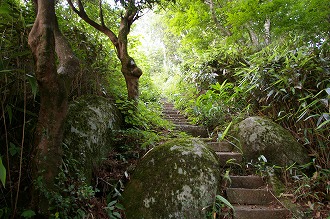自然014 画像:自然014