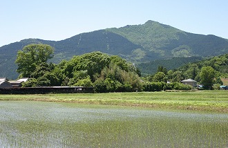 自然029 画像:自然029