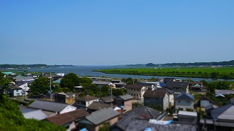 自然039 画像:自然039