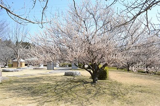 歴史遺産001 画像:歴史遺産001