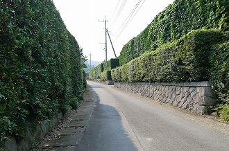 歴史遺産021 画像:歴史遺産021