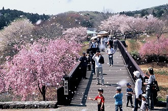 歴史遺産024 画像:歴史遺産024