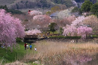 歴史遺産025 画像:歴史遺産025
